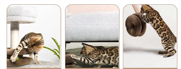 Tiktok The Same Accordion Cat Scratch Board Corrugated Pet Supplies Sound Bell Ball New Cat Toy Wheel