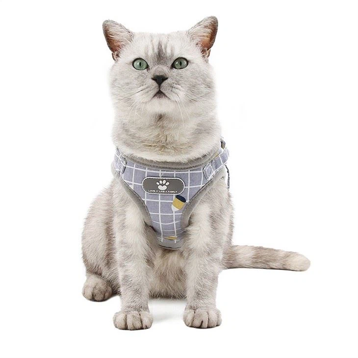 PoyPet Reflective Soft Breathable Mesh Dog Chest Strap Non-choke Double Padded Vest With Adjustable Neck And Chest